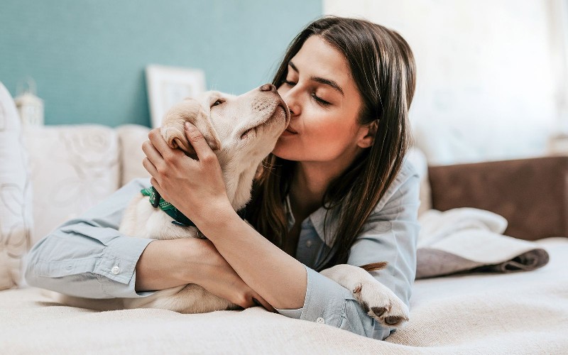 Связь между психическим здоровьем питомца и его владельца: Как домашние животные улучшают самочувствие